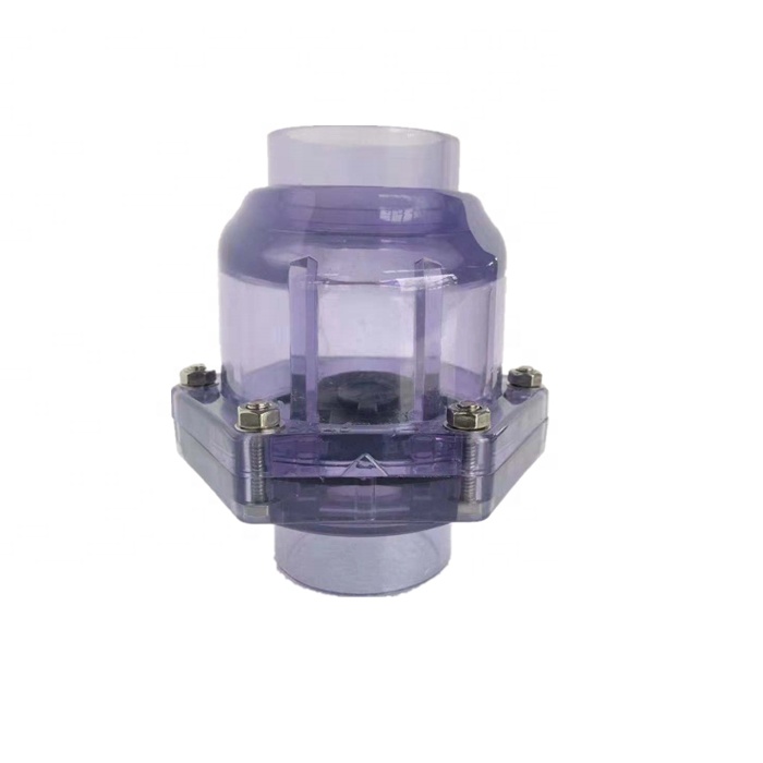 Dn40 50mm Socket Transparent Eccentric Pvc Clear Swing Check Valve